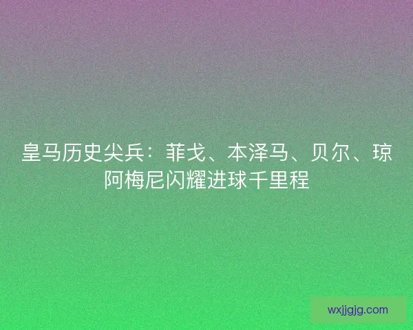 皇马历史尖兵：菲戈、本泽马、贝尔、琼阿梅尼闪耀进球千里程