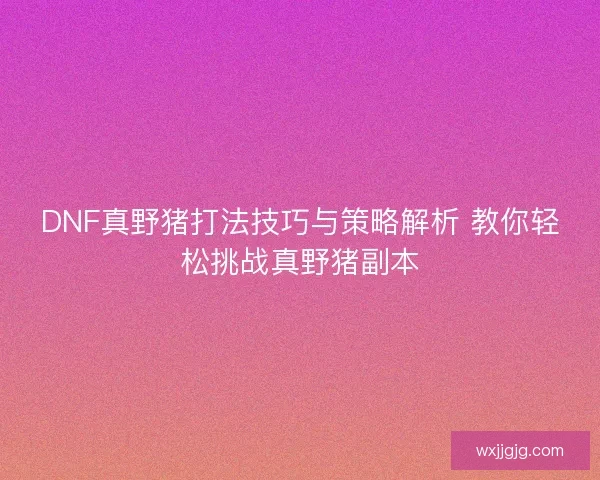 DNF真野猪打法技巧与策略解析 教你轻松挑战真野猪副本